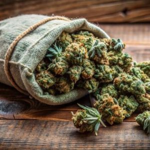SmallBud