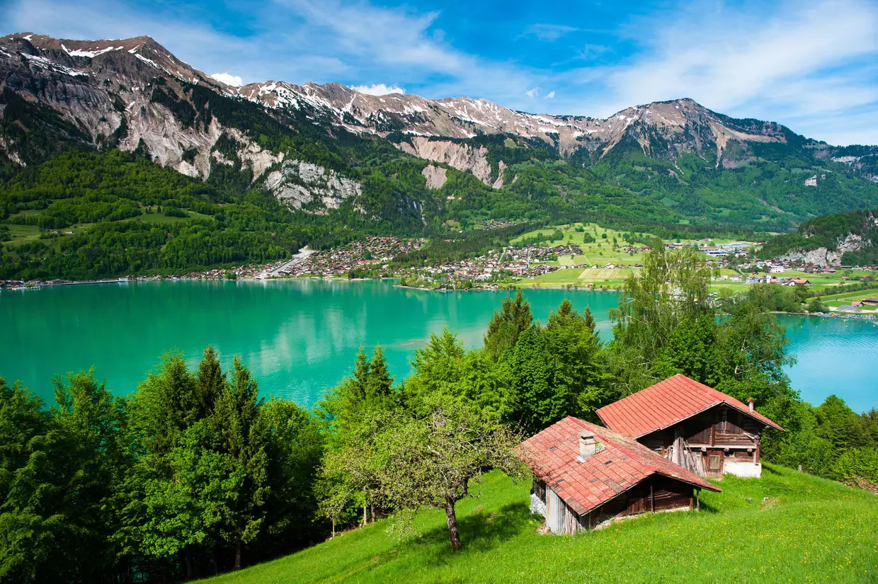 CBD Suisse