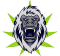 CBD du Gorille