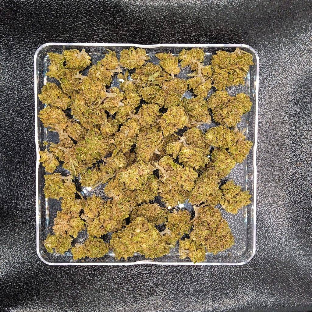 CBD