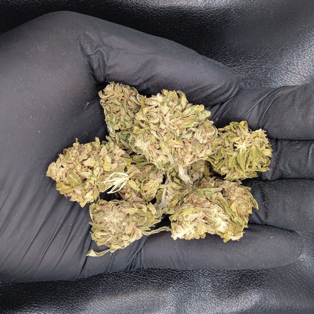CBD
