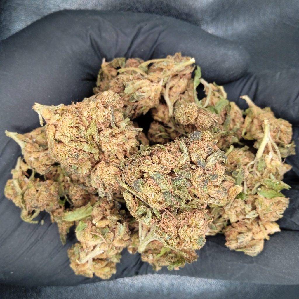 Amnesia CBD - Profil aromatique et effets