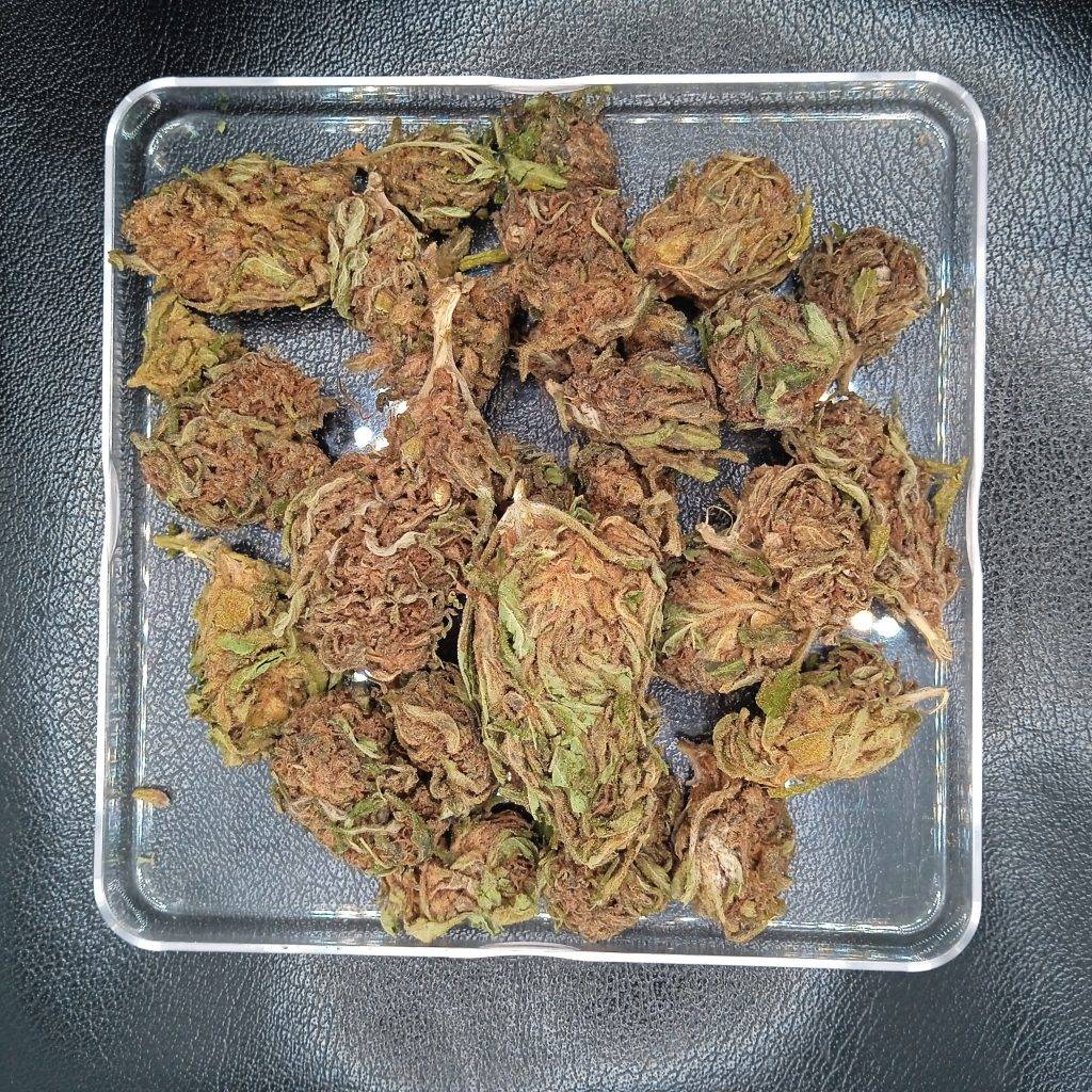 CBD