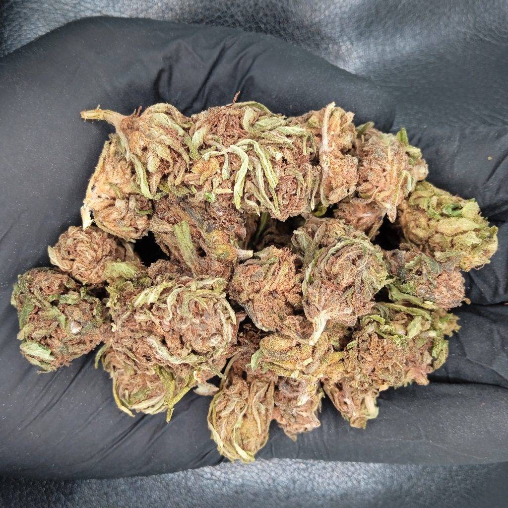 CBD