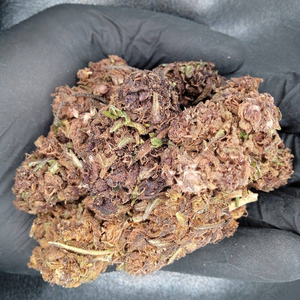 CBD