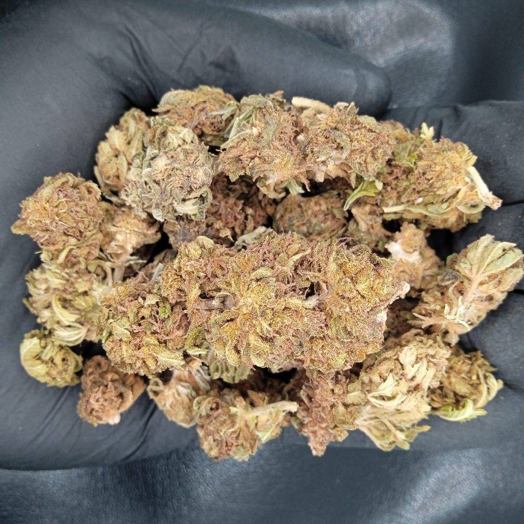 CBD
