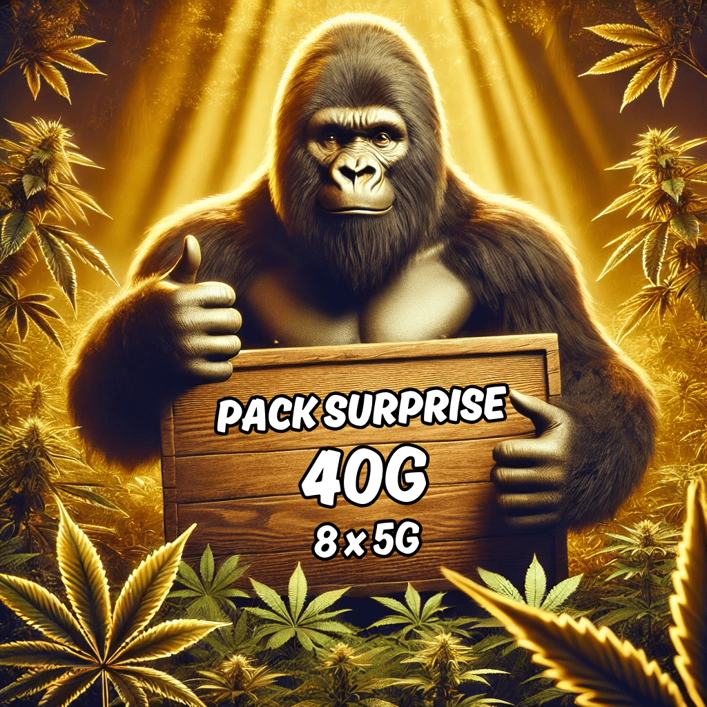 Pack Surprise 40g