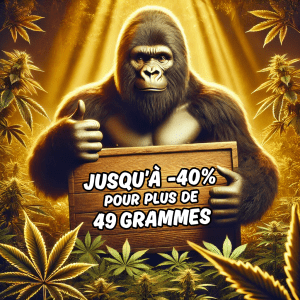 Plus de 49g (jusqu’à -40%!)
