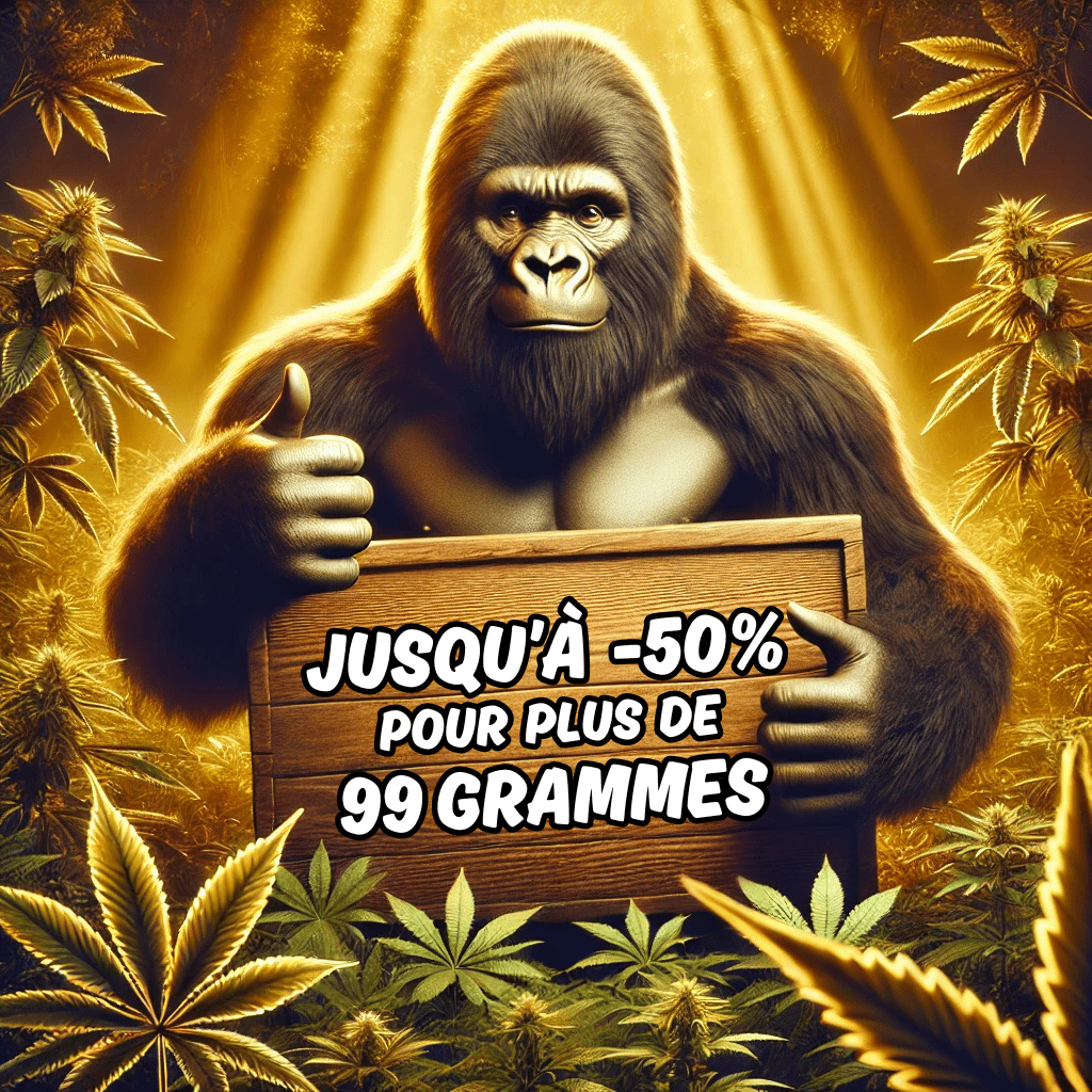Plus de 99g (jusqu’à -50%!)