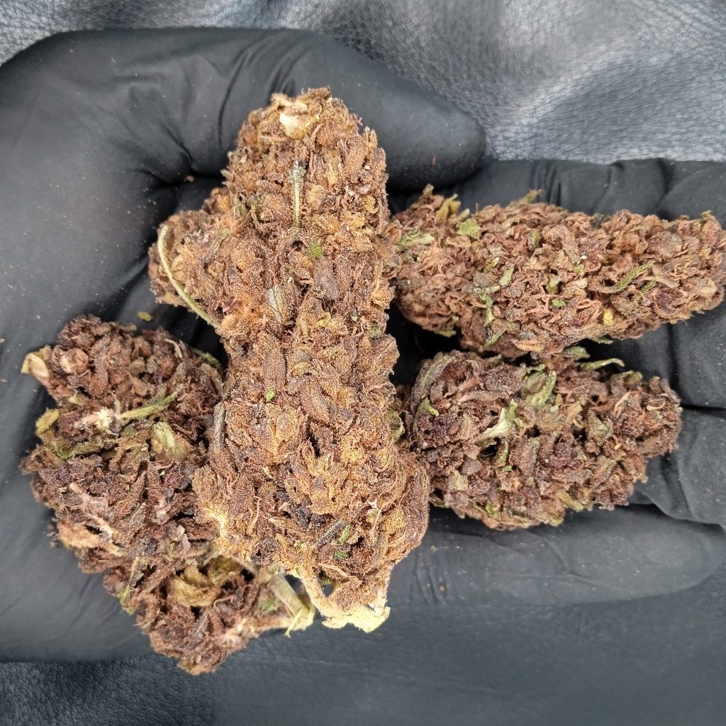 PurpleHaze CBD - Effets créatifs