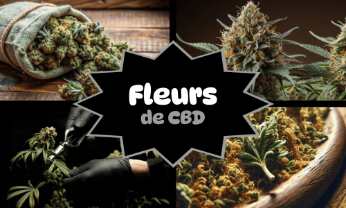 Sélection de produits CBD