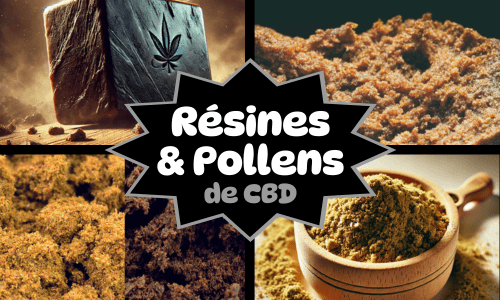 Produits CBD pour tous les profils
