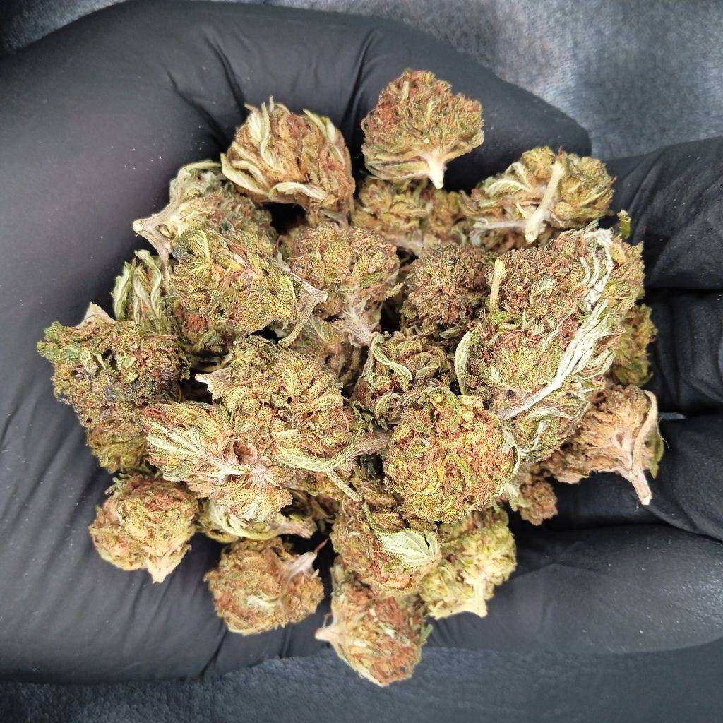 CBD