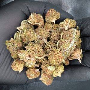BigBud de CBD jack Herer