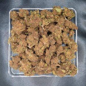 Bigbud de jungle extract, cbd.