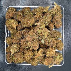 BigBud de CBD Sour Tangie