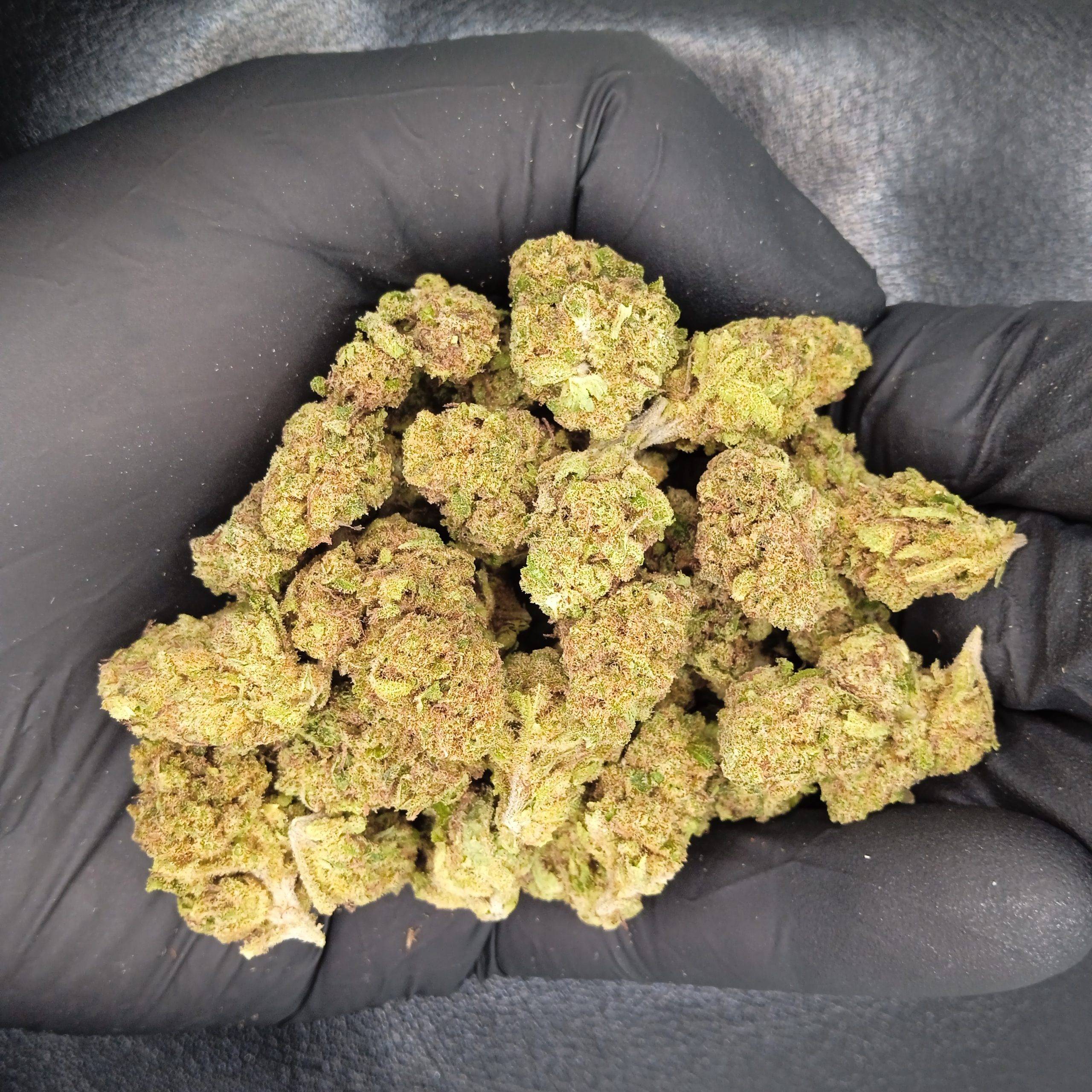 White Widow CBD - Profil aromatique et effets
