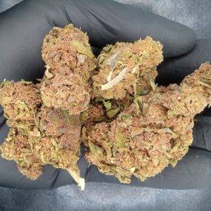 Gigabud de jungle extract, cbd.