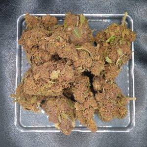 Gigabud de jungle extract, cbd.