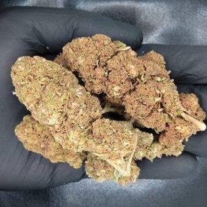 GigaBud de CBD White Widow