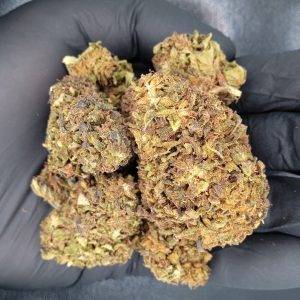 GigaBud de CBD Sour Tangie