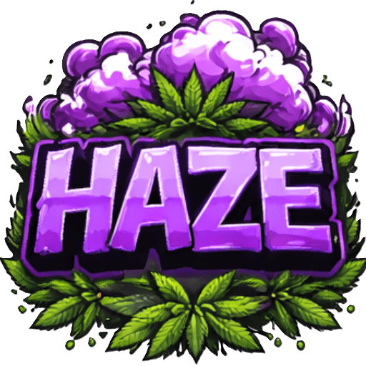 Histoire génétique Haze CBD