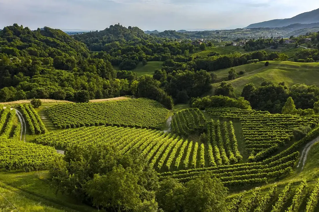 CBD Italie