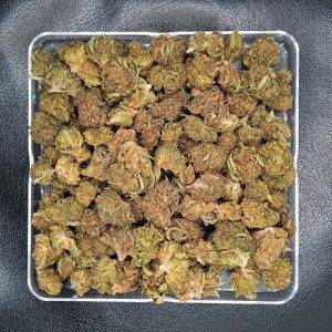 SmallBud de CBD jack Herer