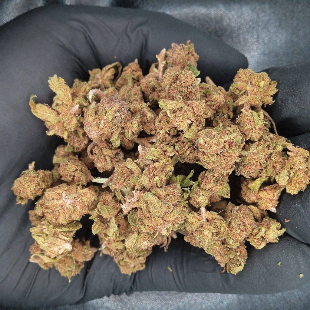 CBD