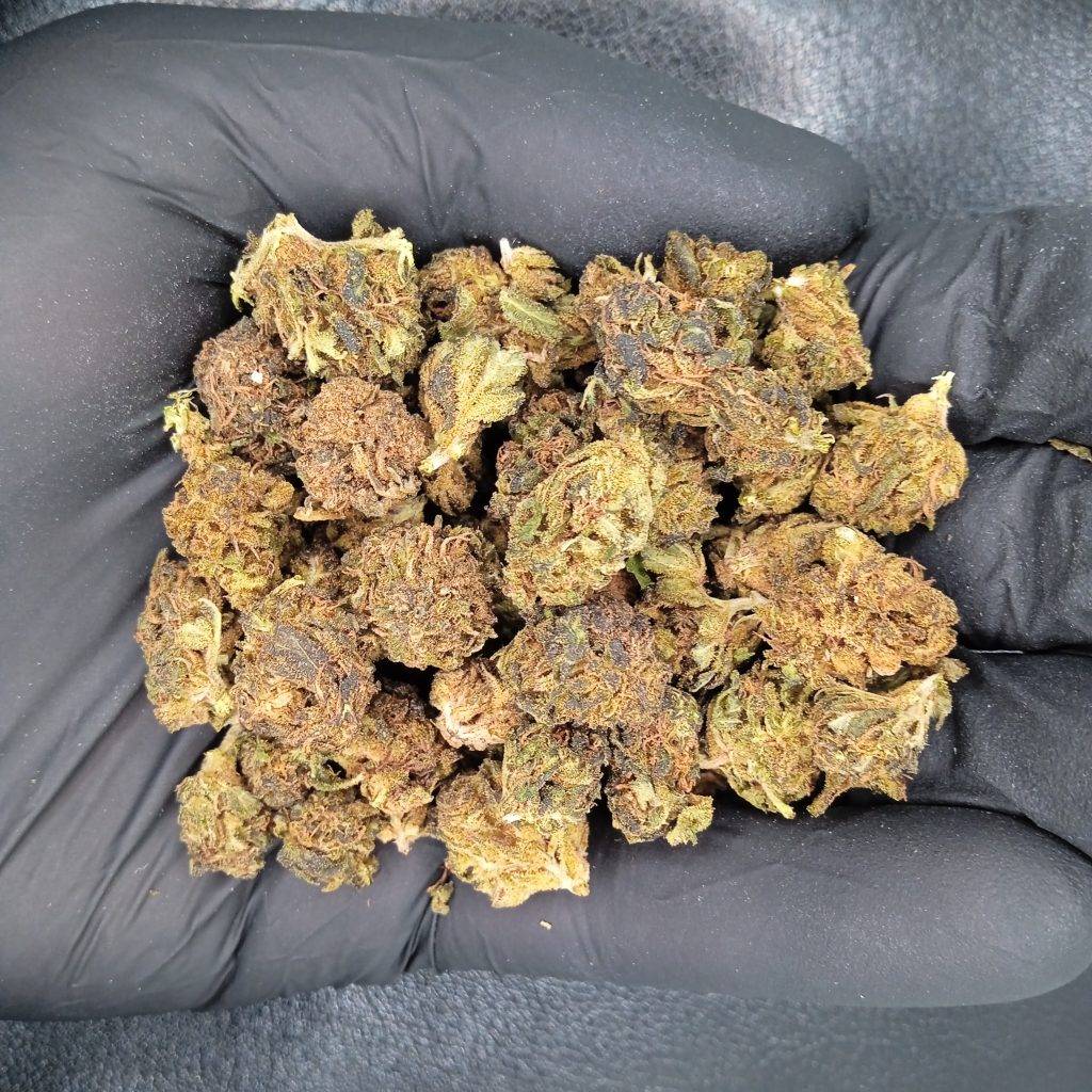 CBD