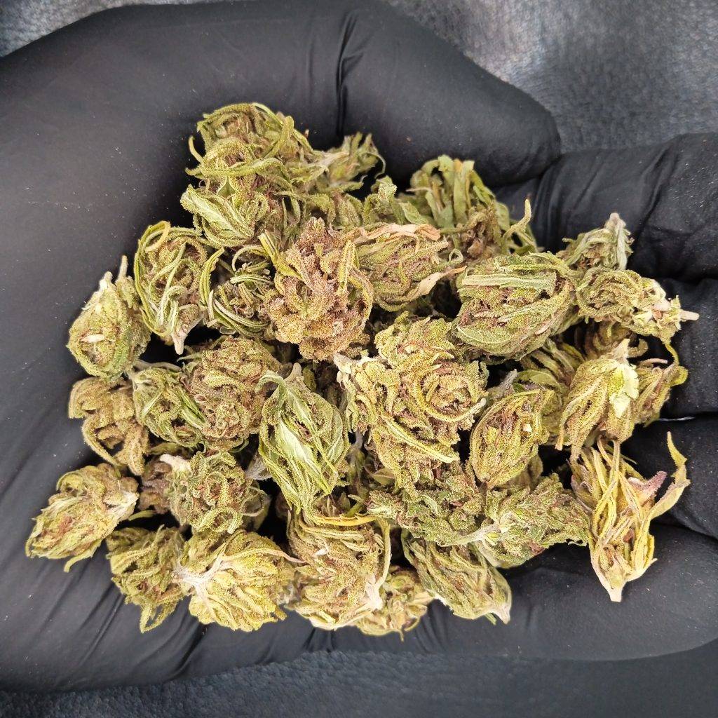 CBD