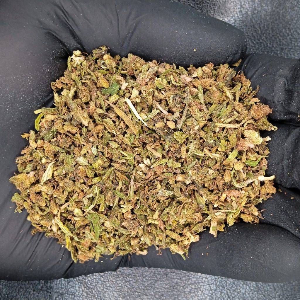 CBD